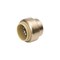 Bk Products B&K Proline Push to Connect 3/4 in. PTC Brass Cap 6633-004 - alternate 2